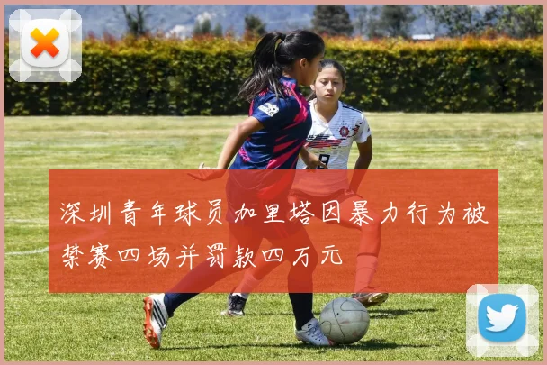 深圳青年球员加里塔因暴力行为被禁赛四场并罚款四万元