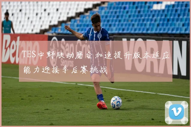 TES中野联动磨合加速提升版本适应能力迎接季后赛挑战